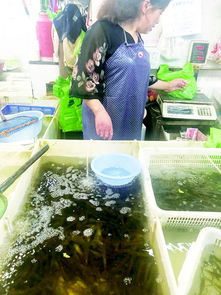 水產(chǎn)品成缺斤少兩多發(fā)地，監(jiān)管與誠信雙缺失亟待解決